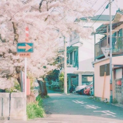 果盘虎啸龙吟bt版下载