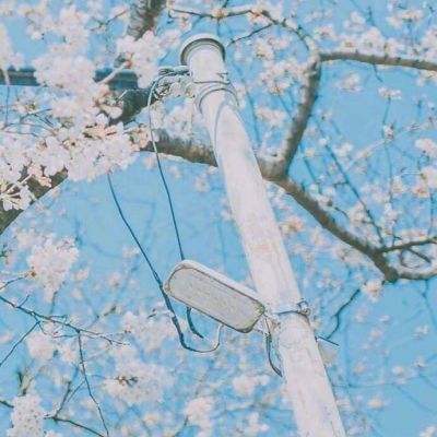 永恒帝国手机版(暂未上线)v1.1.2 安卓版